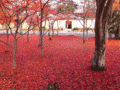 Feng Shui Japan 19