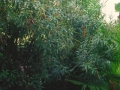 residenze22